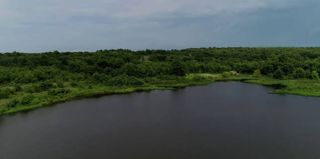 12:00: Betrayed (S3 E5) (S3) | ID | 2/3 2026