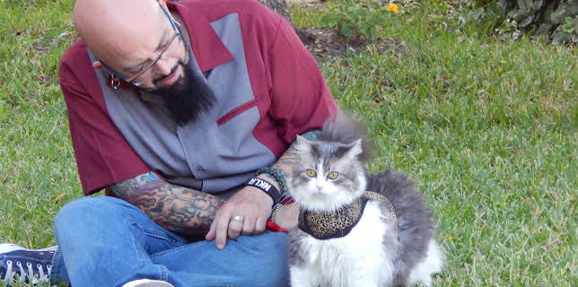 05:15: My Cat From Hell (S5 E1) (S5) | Animal Planet | 1/15 2026