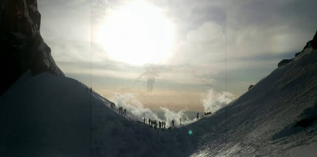 19:00: Hus i tretoppene (S5 E5) (S5) | Animal Planet | 12/23 2025