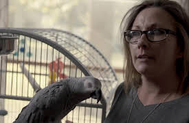 Til Death Do Us Part Season 1: Don't Shoot!