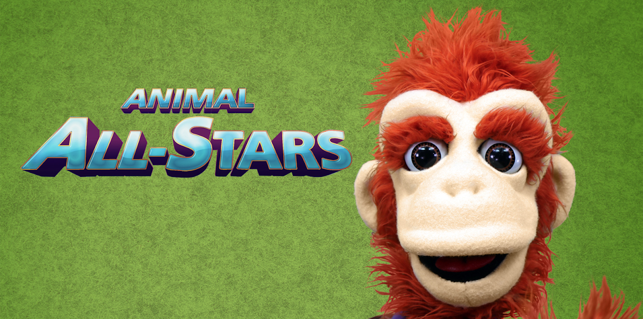 Animal All Stars