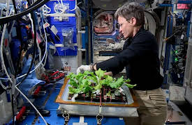 Space Farmers: Foods New Frontiers