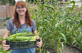 Britain's Most Scenic Counties: Kent: Series 1: Episode 2