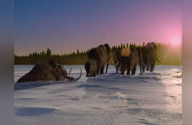 Walking with Prehistoric Beasts: Mammoth Journey