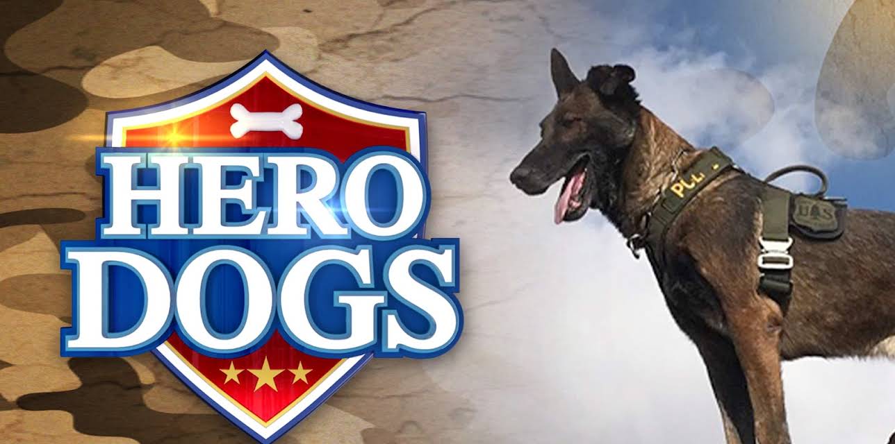 Hero Dogs Season 1