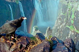 Wild Africa: Lakes & Rivers