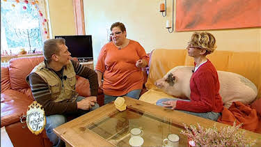 07:00: Der Trödeltrupp - Das Geld liegt im Keller (S5 E24) (S5) | RTL 2 | 5/13 2026
