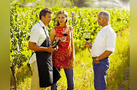 The Everyday Guide to Wine: Why Learn about Wine?