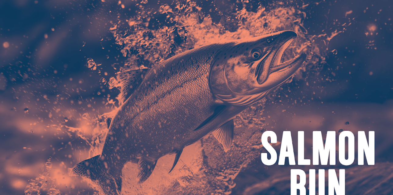 Salmon Run (2024)