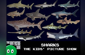 The Kids' Picture Show: Sharks - The Kids' Picture Show