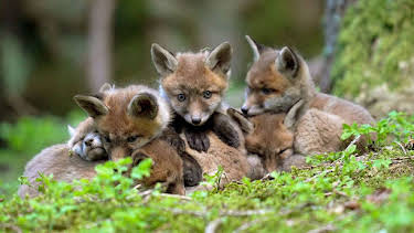 05:00: Das Tote Gebirge | Arte | 4/7 2026