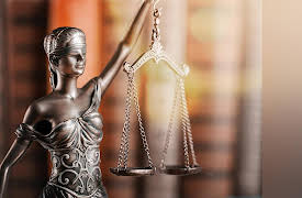 Law School for Everyone: Litigation and the American Legal System