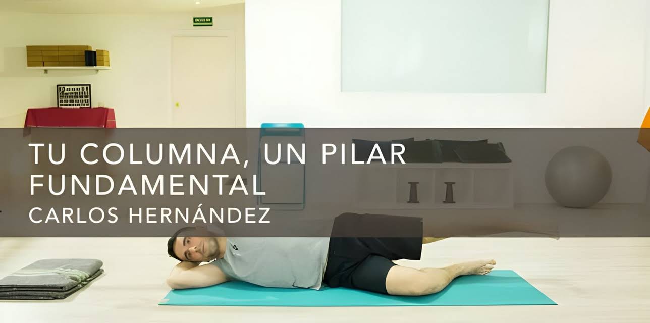 Tu columna, un pilar fundamental (2016)