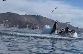 History's Most Shocking Season 1: Whale Eats Kayakers, Trucks vs. Trains, Flames & Cranes & Historic Eiffel Tower Jump