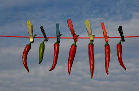 The Danube: From Budapest to Belgrade