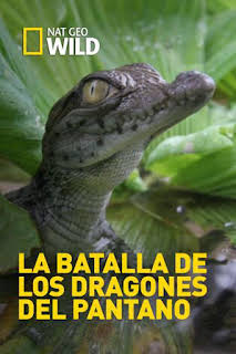 10:55: La batalla de los dragones del pantano | Nat Geo Wild | 4/2 2026
