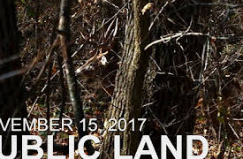 The Hunting Public: November 15 - Public Land: Giant Buck at 30 Yards