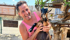 Bargain-Loving Brits in the Sun (S11 E37)