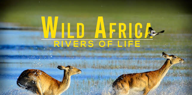 Wild Africa Rivers of Life Season 1
