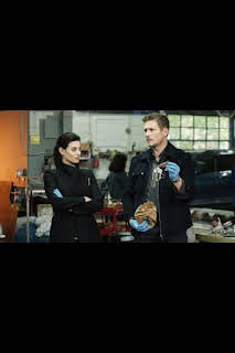 21:02: Hudson y Rex (T4): Ep.10 Diamantes de sangre | AXN | 3/27 2026