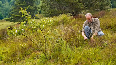 22:00: Gute Nachrichten vom Planeten | ARD Alpha | 4/20 2026