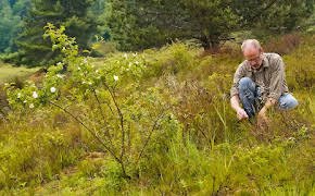 Gute Nachrichten vom Planeten