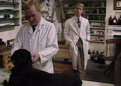 All Creatures Great and Small