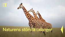 Naturens största talanger