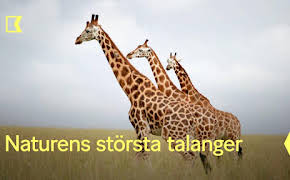 Naturens största talanger