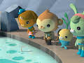 Octonauts: Above & Beyond