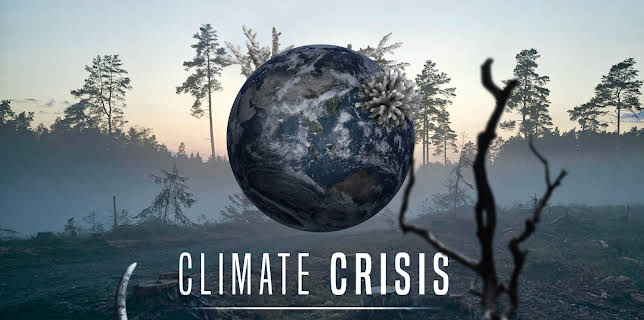 Climate Crisis: Extinction (2022)