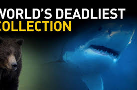 World's Deadliest Collection Season 1: Land of the Anaconda