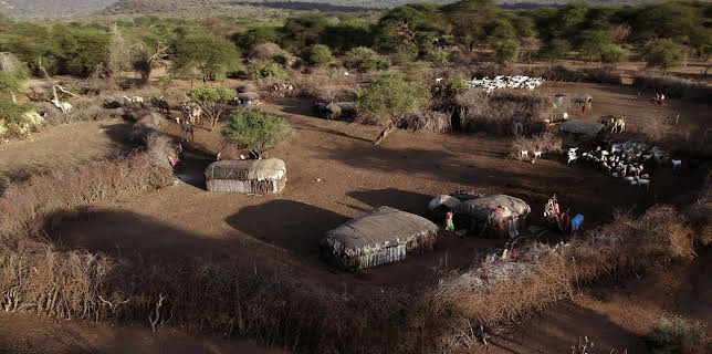05:10: Kenia, die Elefanten-Nannys | Arte | 11/11 2025