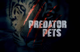 Predator Pets: Episode 1