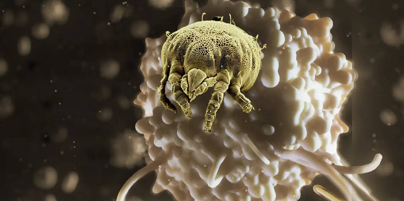 Life on Us: A Microscopic Safari (2022)