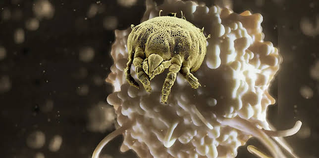 Life on Us: A Microscopic Safari (2022)