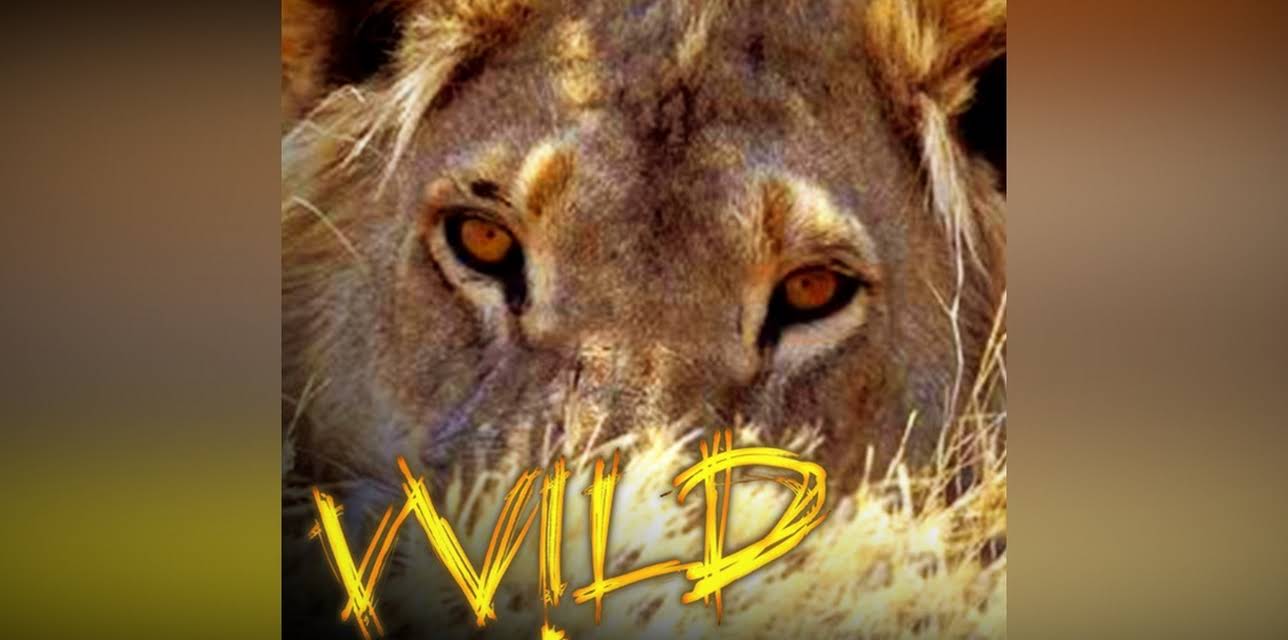 National Geographic Channel: Wild
