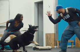 Terapia canina: Nino