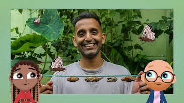 11:35 AM: Teeny Tiny Creatures (S2) | Cbeebies | 7/7 2026