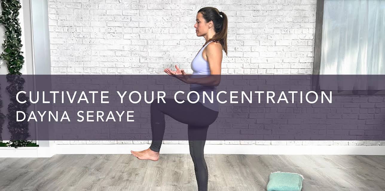 Cultivate Your Concentration (2022)