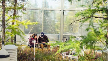 9:00 PM: Miorbhail na Monach - Secrets in the Peat (S1) | BBC Alba | 4/8 2026