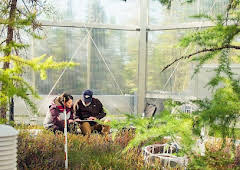 Miorbhail na Monach - Secrets in the Peat