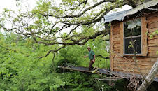 Treehouse Masters