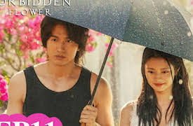 The Forbidden Flower: The Forbidden Flower EP11