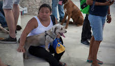 Into The Jungle (S4 E2)