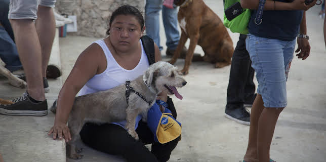 11:15: Dr. Jeff: Rocky Mountain Vet (S4 E2) (S4) | Animal Planet | 11/30 2025