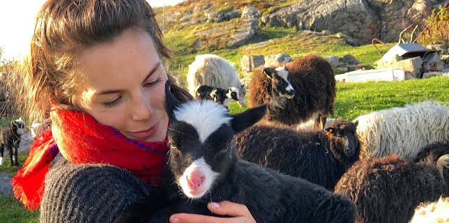 11:55: Ida og Martin på Notholmen: Villstyringer | NRK 2 | 3/7 2026