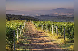 Food: A Cultural Culinary History: Dining in Republican and Imperial Rome