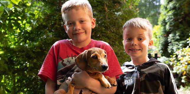 15:30: Valpedrømmen: Ivo, Alvin og Otto | NRK Super | 10/28 2025