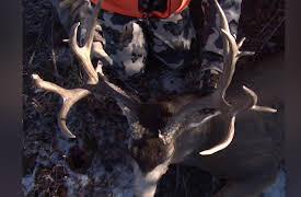 Extreme Outer Limits: Double Down Mule Deer part 1
